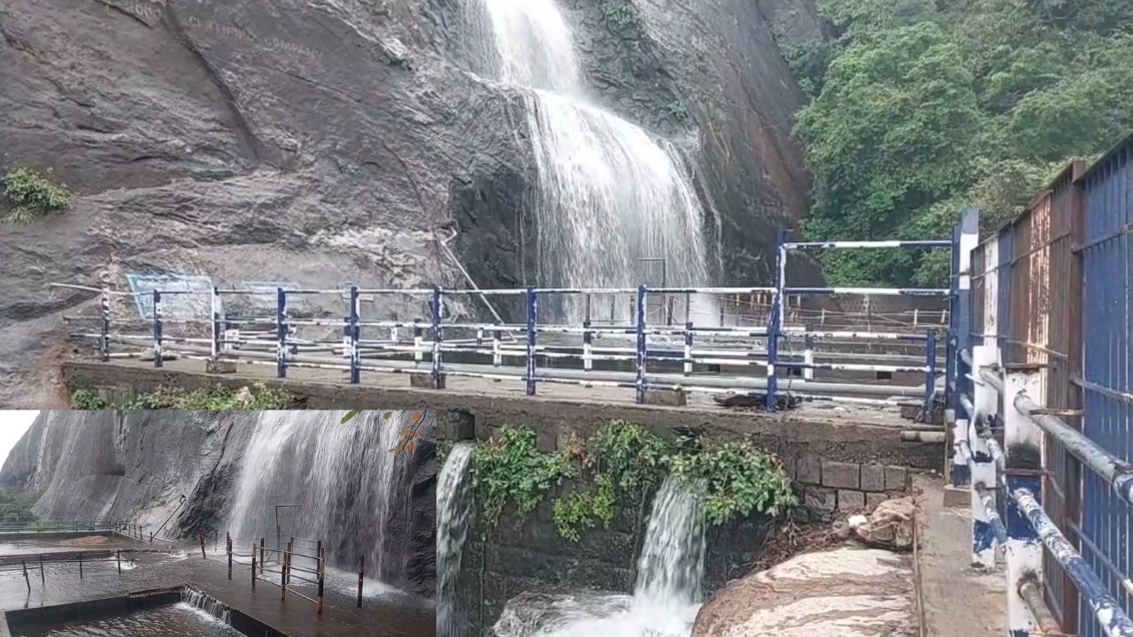 பழைய குற்றால அருவி போறீங்களா? ஒரு நிமிஷம்.. வனத்துறையின் முக்கிய அறிவிப்பு 