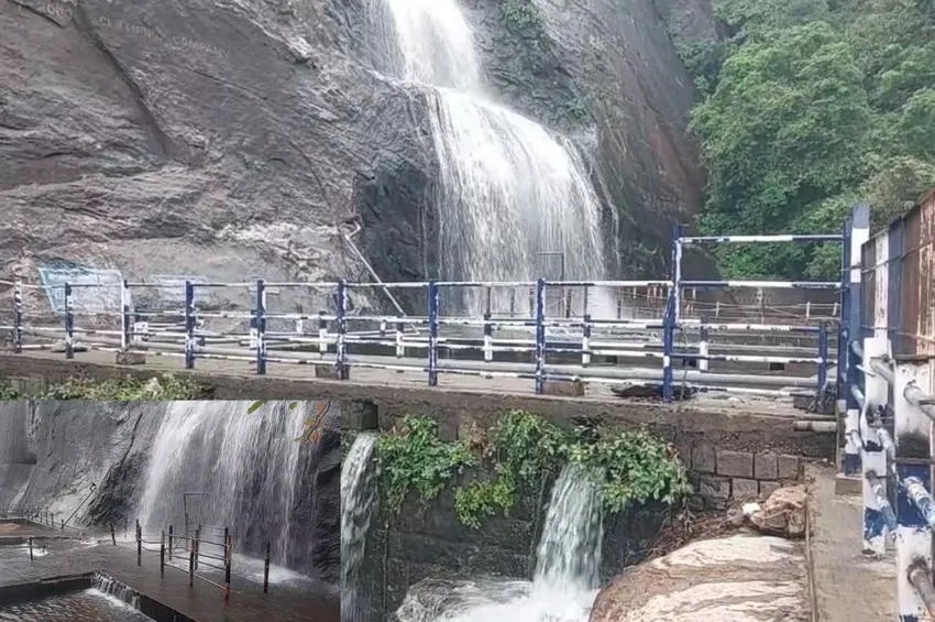 பழைய குற்றால அருவி போறீங்களா? ஒரு நிமிஷம்.. வனத்துறையின் முக்கிய அறிவிப்பு 